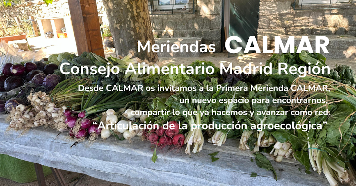 Meriendas CALMAR