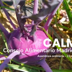 Primera Asamblea ordinaria de 2026 de CALMAR Primera Asamblea ordinaria de 2026 de CALMAR