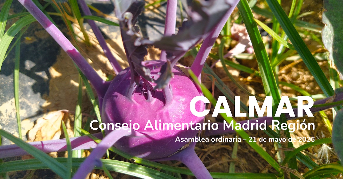 Asamblea Ordinaria 2026